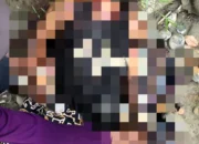 Dua Warga Sipil Jadi Korban Pembunuhan OTK di Yahukimo, Satgas Ope Damai Cartenz Lakukan Penyelidikan Intensif