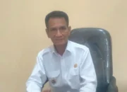Sistem penerapan WFA di Aru, Djumpa :Tunggu Hasil BKN