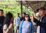 Belum Setahun Menjabat, Bupati Tomatius Datangkan Investor Jepang ke Kepulauan Aru