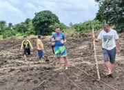 Dukung Ketahanan Pangan, Polsek Tanimbar Utara Tanam Jagung di Desa Ridool