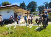 Polsek Salahutu Musnahkan 500 Liter Miras Jenis Sopi Hasil Razia
