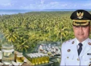 10 Juta Pohon Kelapa Jadi Prioritas Peningkatan Kesejahteraan Masyarakat Aru