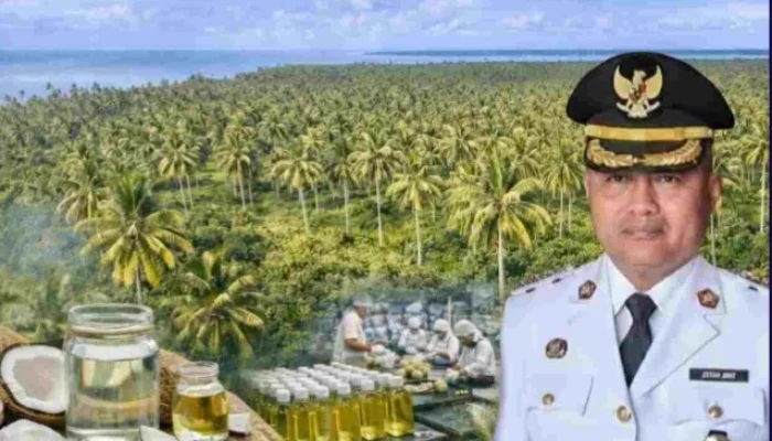 10 Juta Pohon Kelapa Jadi Prioritas Peningkatan Kesejahteraan Masyarakat Aru