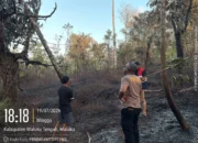 Polisi Bersama Warga Berhasil Padamkan Kebakaran Hutan di Negeri Hitu Lama, Penyebab Kebakaran Masih Dalam Lidik