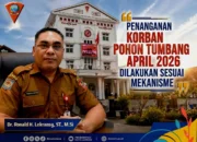 Jubir Pemkot Ambon : Penanganan Korban Pohon Tumbang April 2026 Dilakukan Sesuai Mekanisme