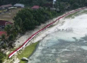 Merah Putih Membentang 500 Meter, Aboru Ciptakan Momen Bersejarah di HUT ke-81 Republik Indonesia