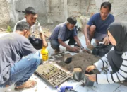 Sukses Olah Pupuk, Lapas Geser Kini Lanjutkan Pemindahan 70 Bibit Cabai ke Media Tanam