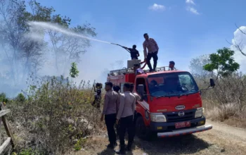 Respons Cepat Cegah Api Meluas, Polres MBD dan Damkar Padamkan Kebakaran Lahan di Tiakur