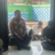 Kapolresta Ambon Duduk Bacarita Bersama Pemuda Key, Bahas Kamtibmas dan Kerukunan